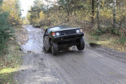 9.11.2013 Fursten Forest 